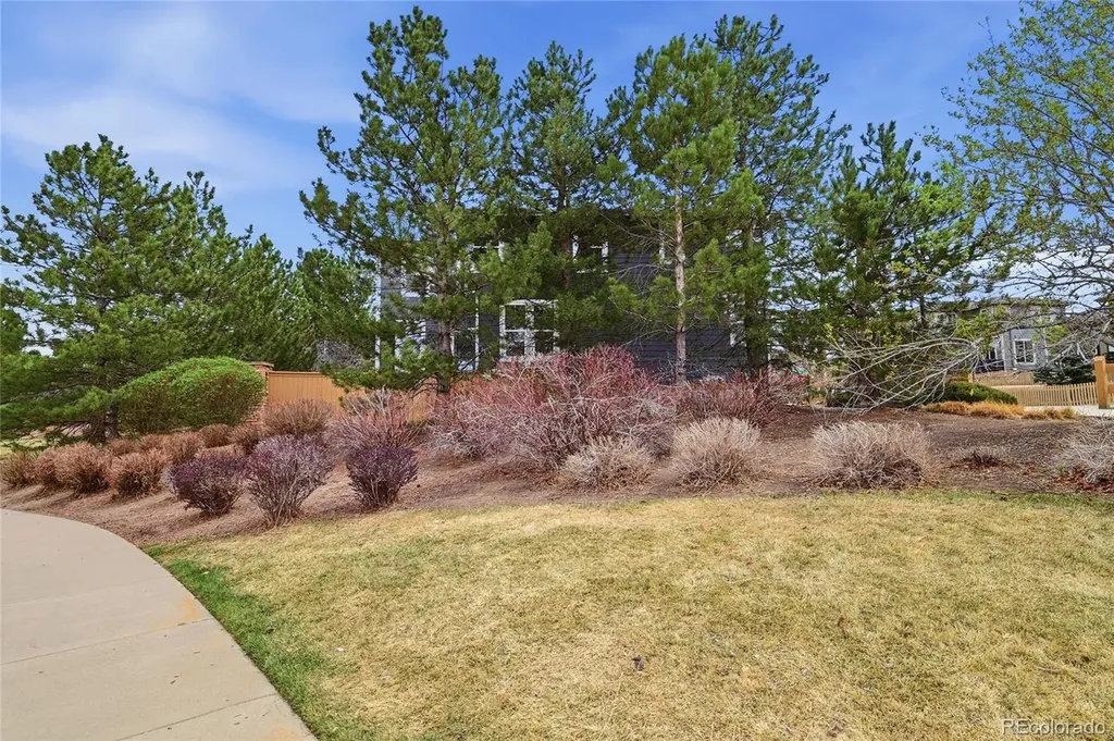 10559 Jewelberry Trail Littleton CO 80130