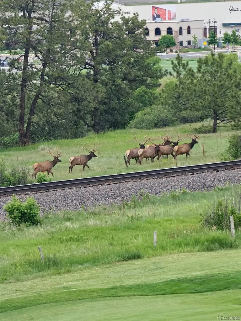 2809 Newport Circle Castle Rock CO 80104