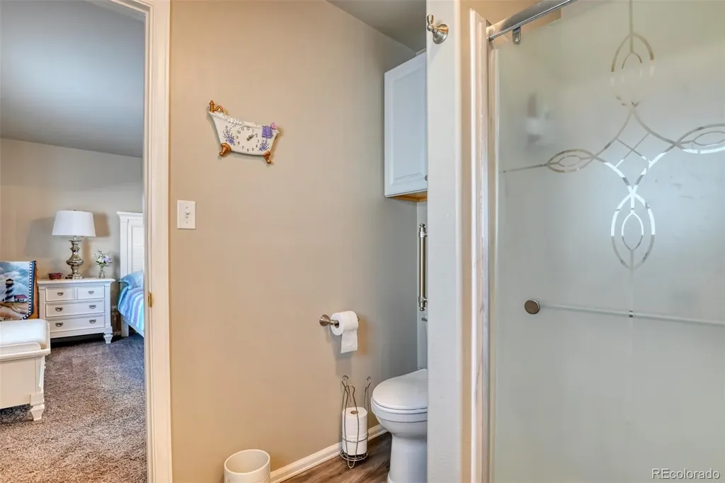 17 Garfield Circle Florissant CO 80816