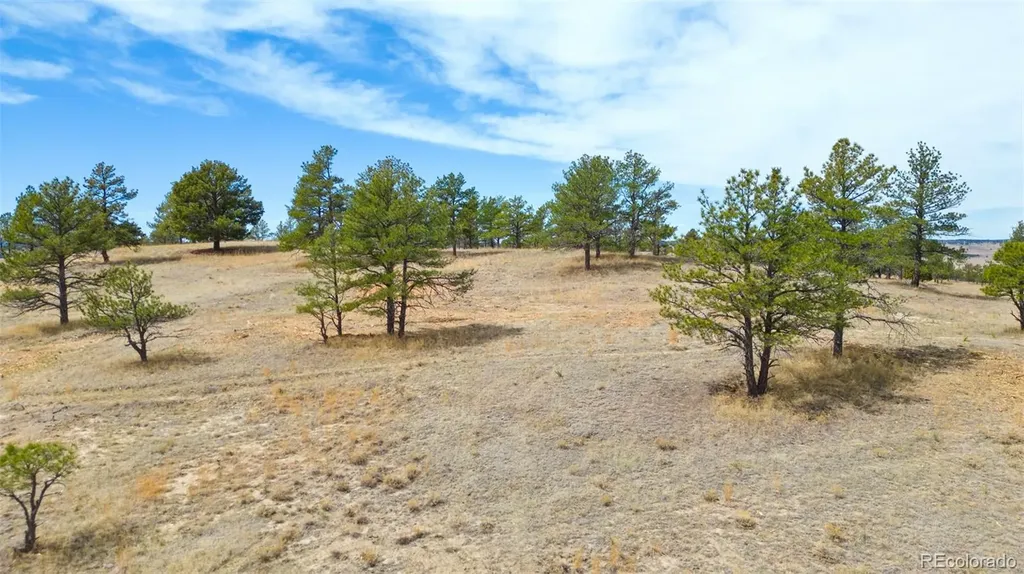 Parcel A County Road 77 Calhan CO 80808