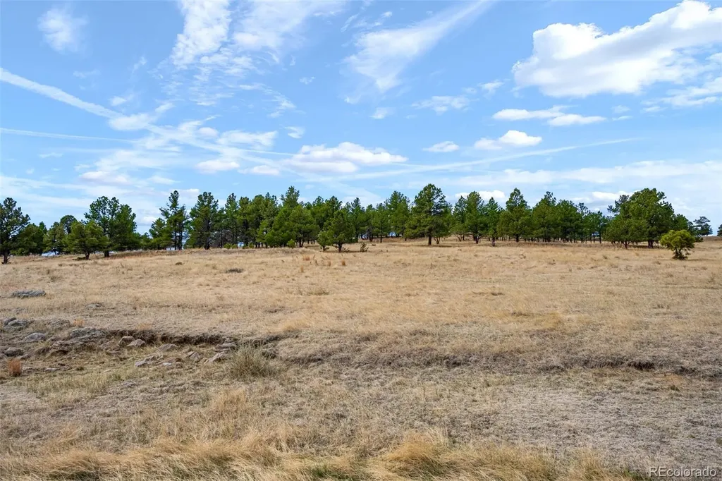 Parcel A County Road 77 Calhan CO 80808