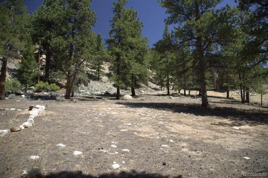 426 Parry Peak Drive Twin Lakes CO 81251