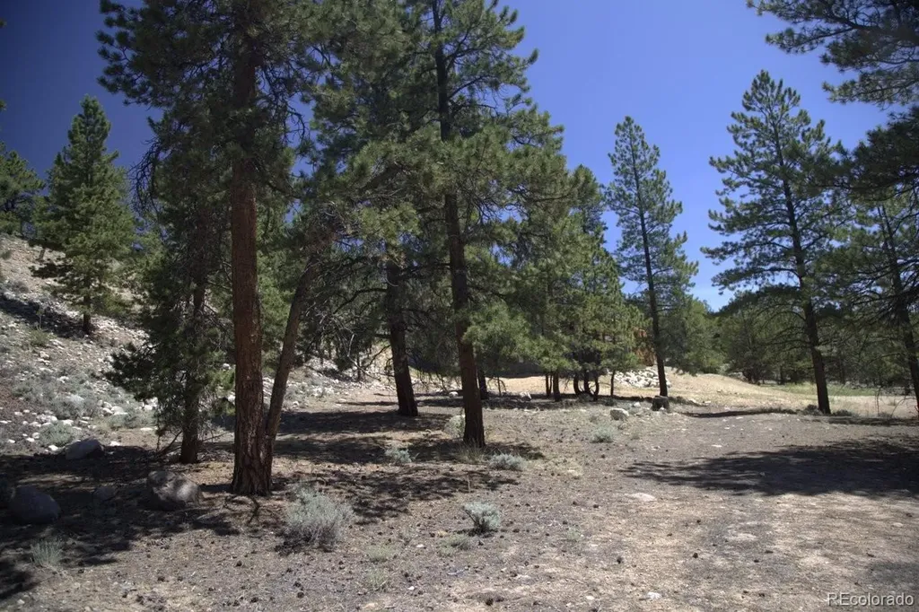 426 Parry Peak Drive Twin Lakes CO 81251