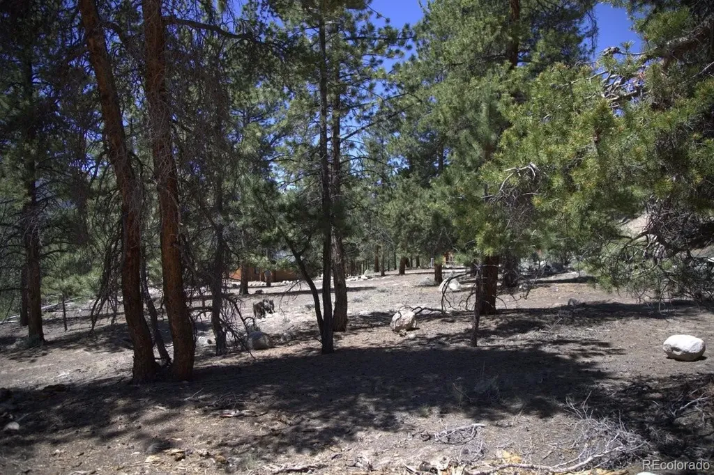 426 Parry Peak Drive Twin Lakes CO 81251