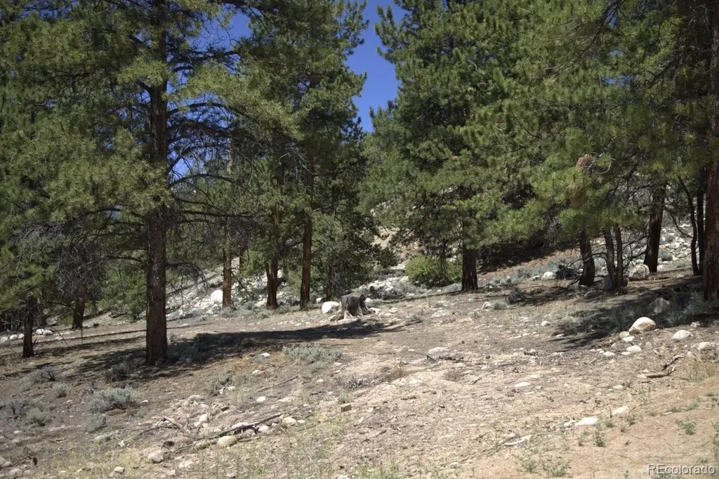 426 Parry Peak Drive Twin Lakes CO 81251