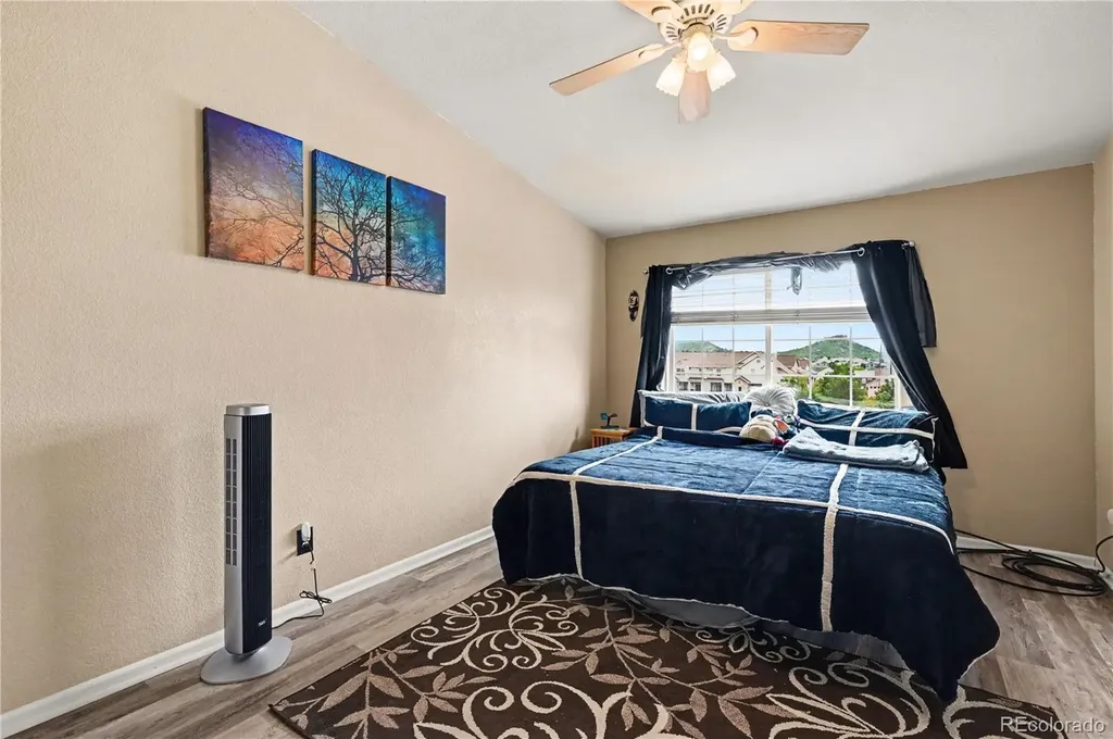 494 Black Feather Loop Castle Rock CO 80104