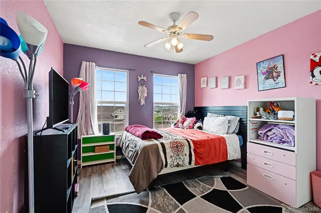 494 Black Feather Loop Castle Rock CO 80104