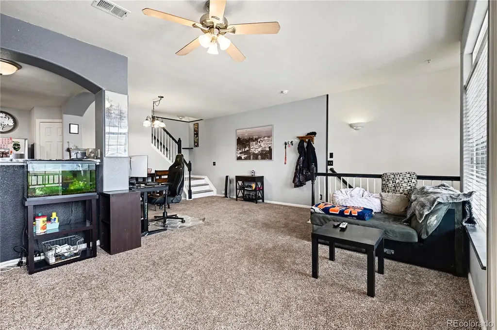 494 Black Feather Loop Castle Rock CO 80104