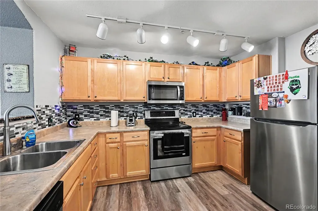 494 Black Feather Loop Castle Rock CO 80104