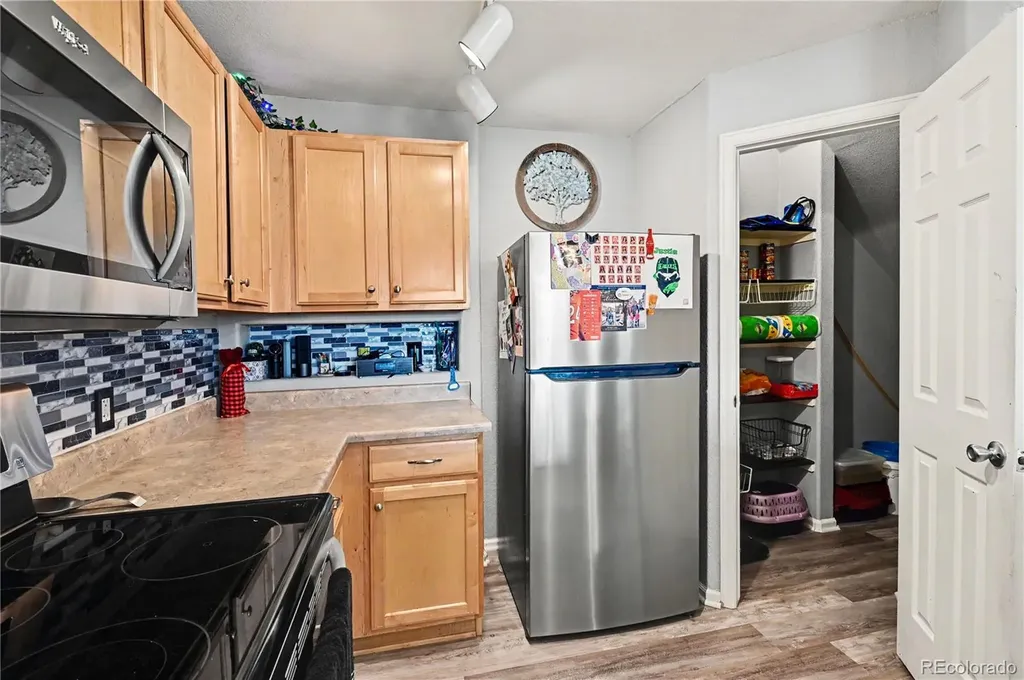 494 Black Feather Loop Castle Rock CO 80104
