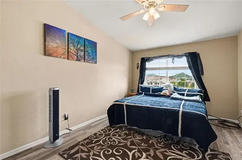 494 Black Feather Loop Castle Rock CO 80104