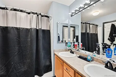 494 Black Feather Loop Castle Rock CO 80104