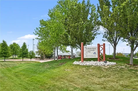 494 Black Feather Loop Castle Rock CO 80104
