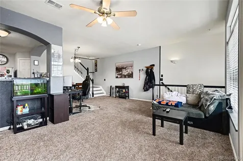 494 Black Feather Loop Castle Rock CO 80104