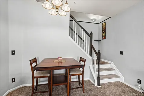 494 Black Feather Loop Castle Rock CO 80104