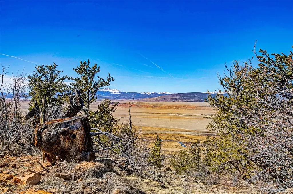 4765 Middle Fork Vista Fairplay CO 80440