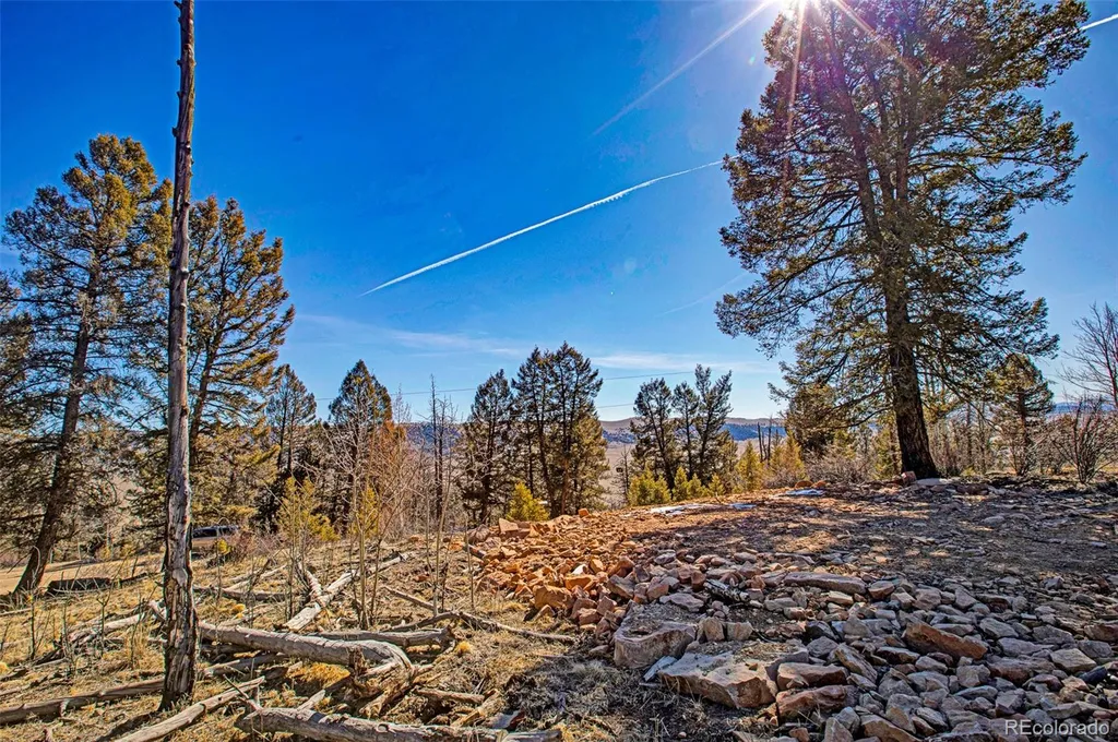 4765 Middle Fork Vista Fairplay CO 80440