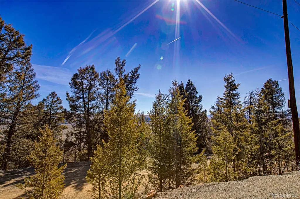 4765 Middle Fork Vista Fairplay CO 80440