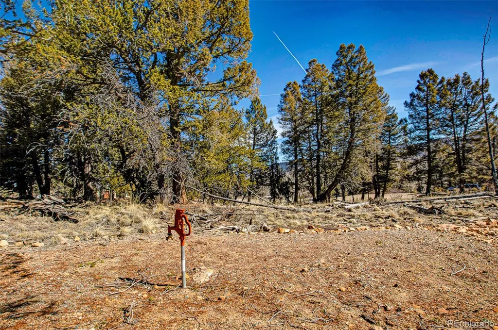 4765 Middle Fork Vista Fairplay CO 80440