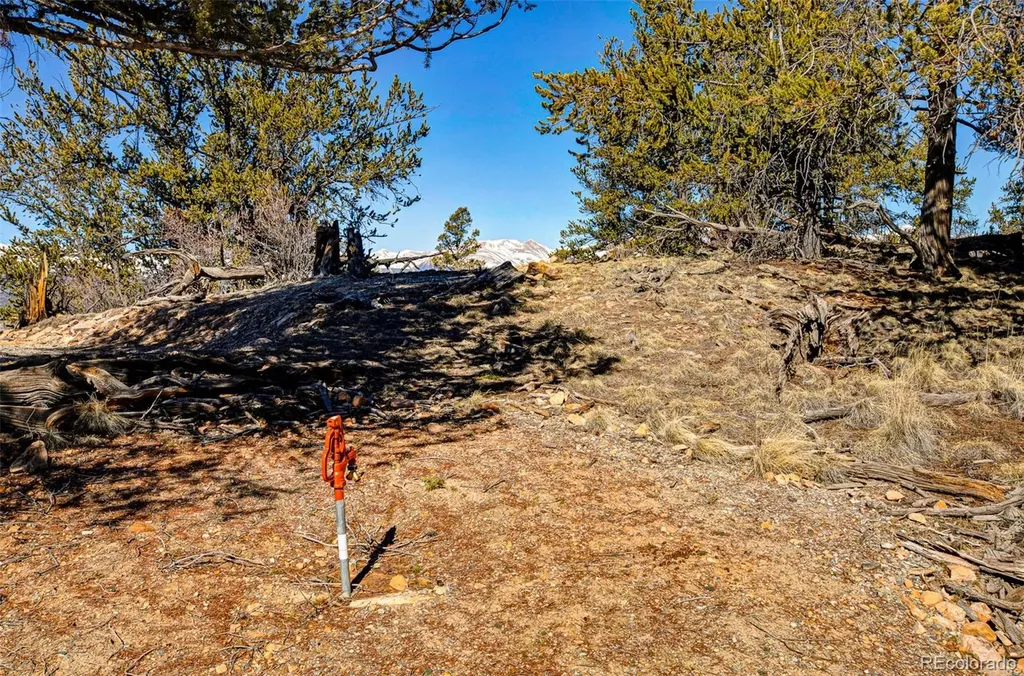 4765 Middle Fork Vista Fairplay CO 80440