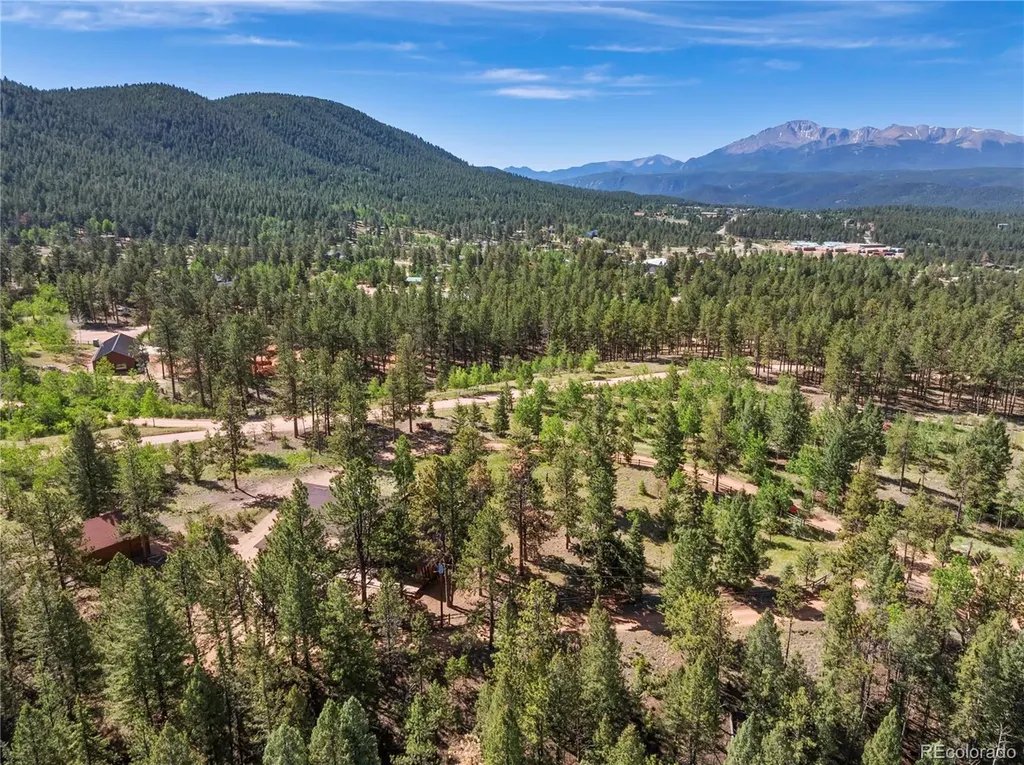 303 Ute Trail Woodland Park CO 80863