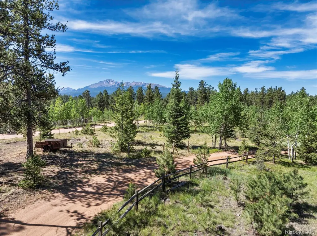 303 Ute Trail Woodland Park CO 80863