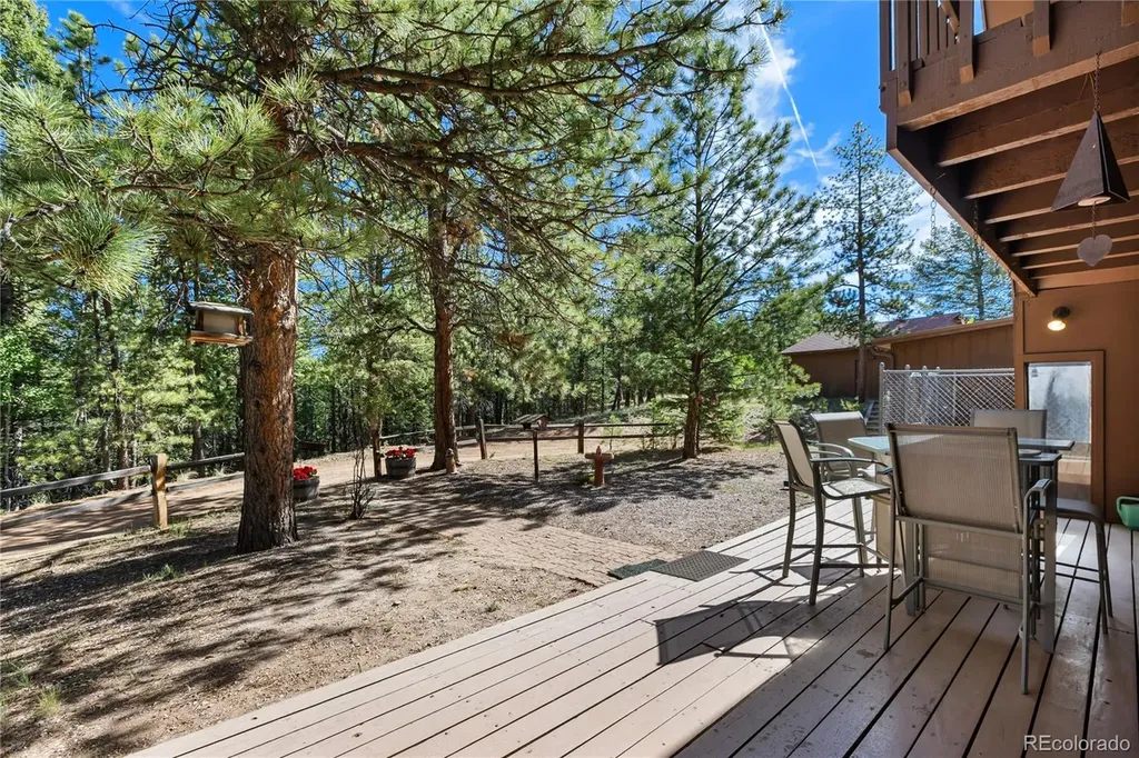 303 Ute Trail Woodland Park CO 80863