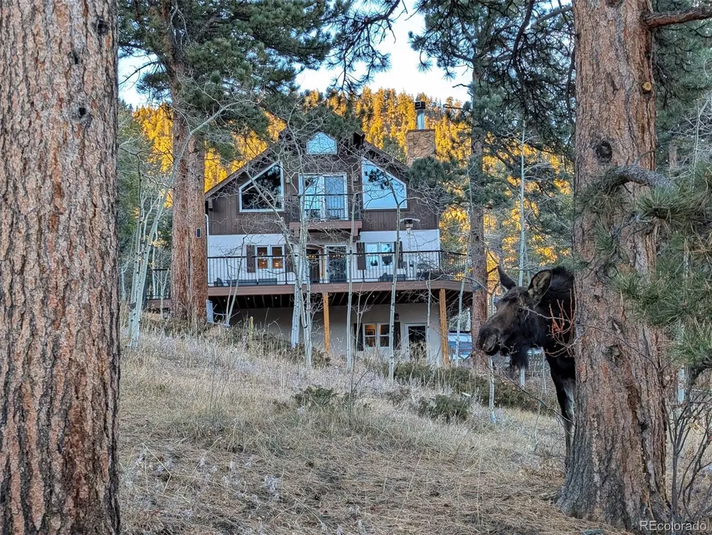 1296 Golden Gate Drive Golden CO 80403