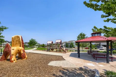 3260 Jonquil Street Castle Rock CO 80109