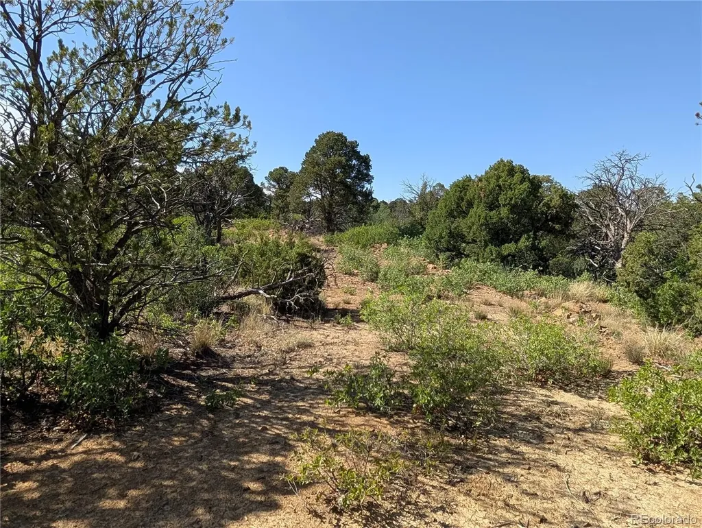 Fishers Peak Ranch Lot E Trinidad CO 81082