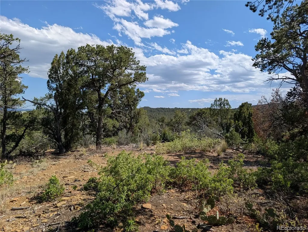 Fishers Peak Ranch Lot E Trinidad CO 81082
