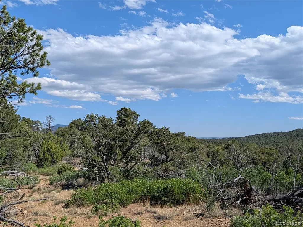 Fishers Peak Ranch Lot E Trinidad CO 81082