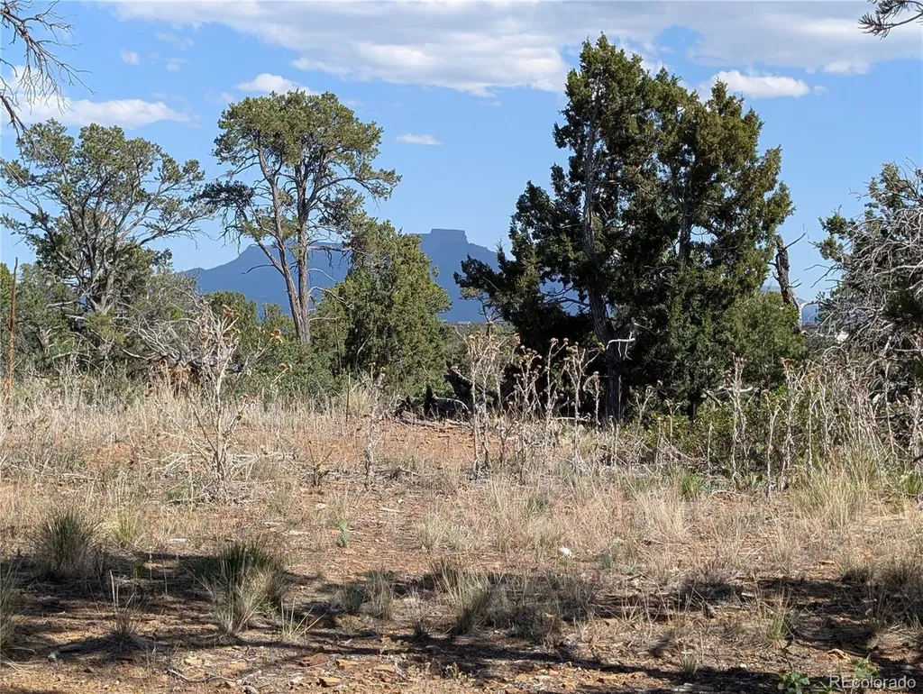 Fishers Peak Ranch Lot E Trinidad CO 81082