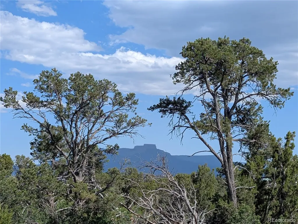 Fishers Peak Ranch Lot E Trinidad CO 81082
