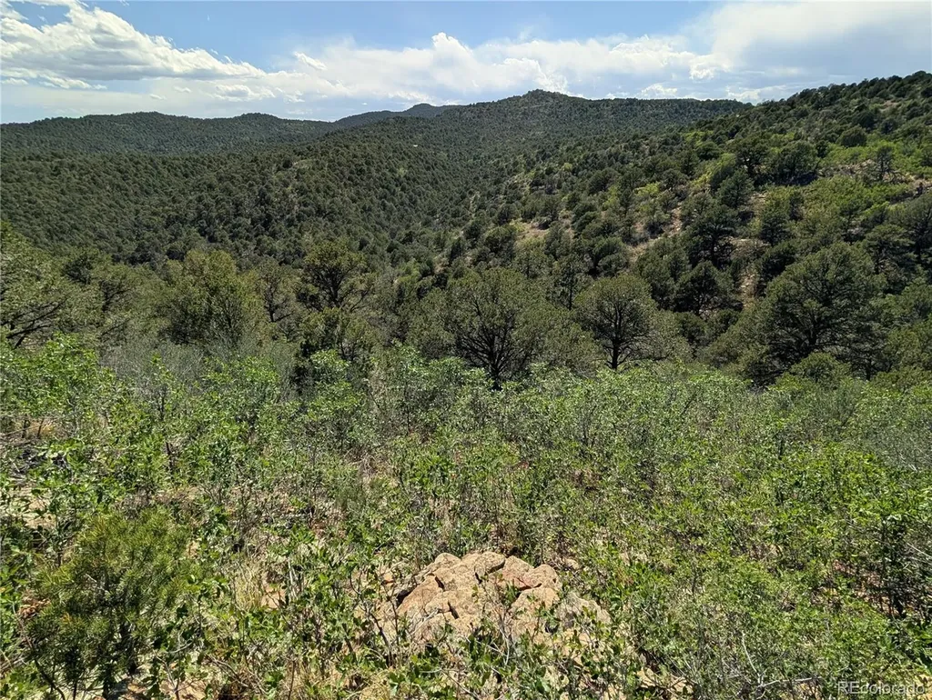 Fishers Peak Ranch Lot E Trinidad CO 81082
