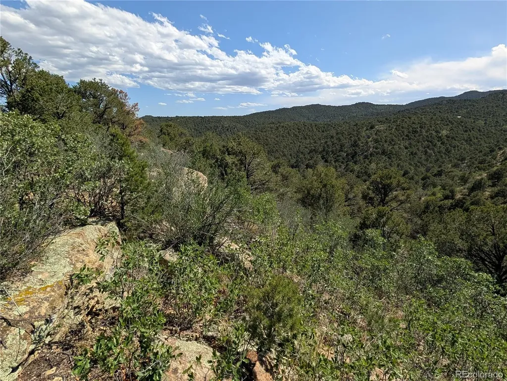 Fishers Peak Ranch Lot E Trinidad CO 81082