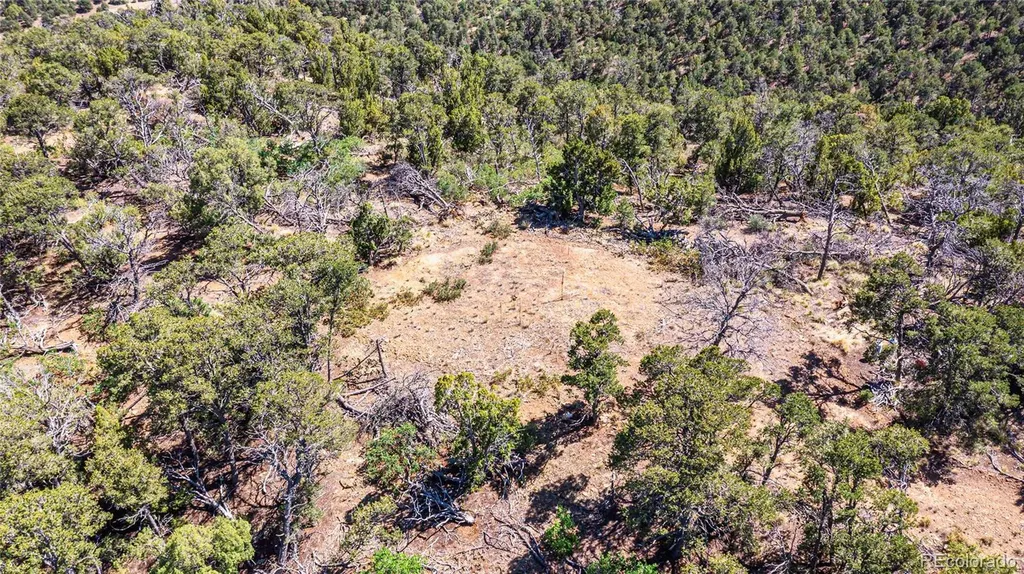 Fishers Peak Ranch Lot E Trinidad CO 81082