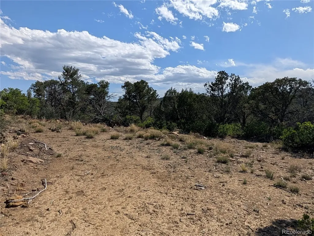Fishers Peak Ranch Lot E Trinidad CO 81082