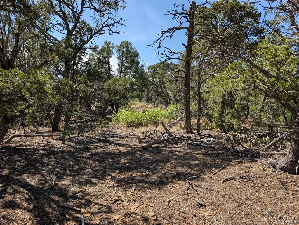 Fishers Peak Ranch Lot E Trinidad CO 81082