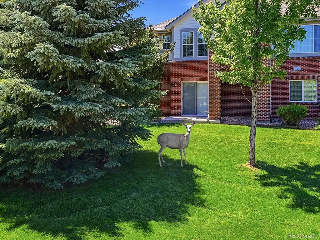 22462 E Alder Drive Aurora CO 80016