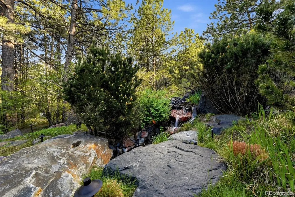 31 Albion Place Castle Rock CO 80108