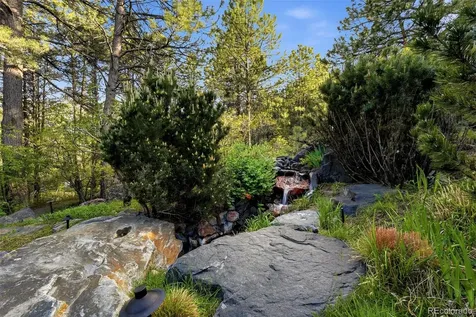 31 Albion Place Castle Rock CO 80108