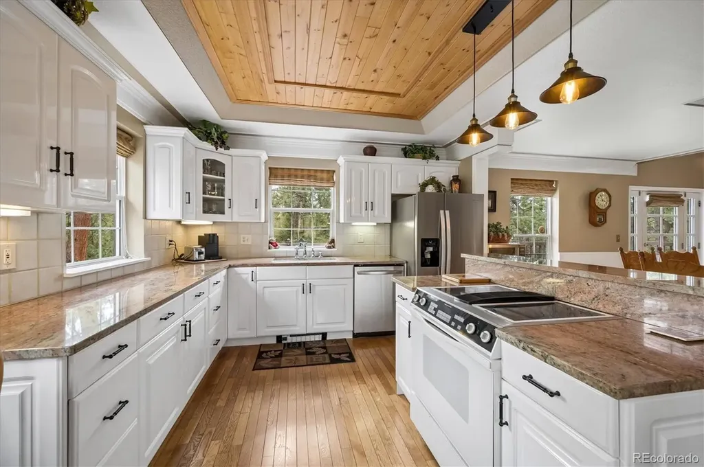 410 Spring Drive Pine CO 80470