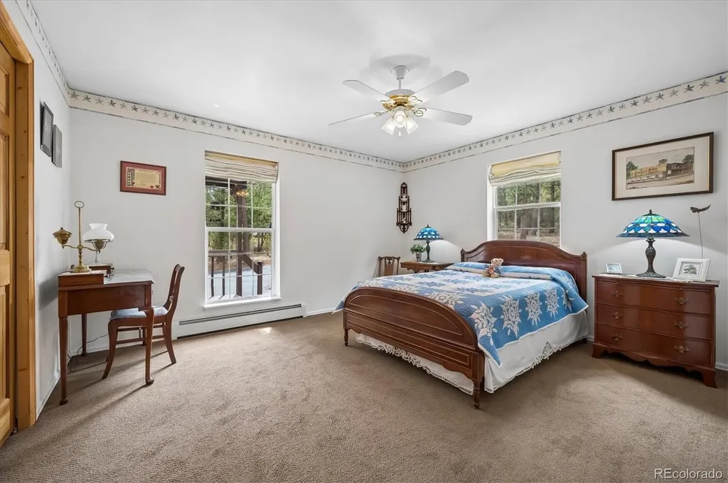 410 Spring Drive Pine CO 80470