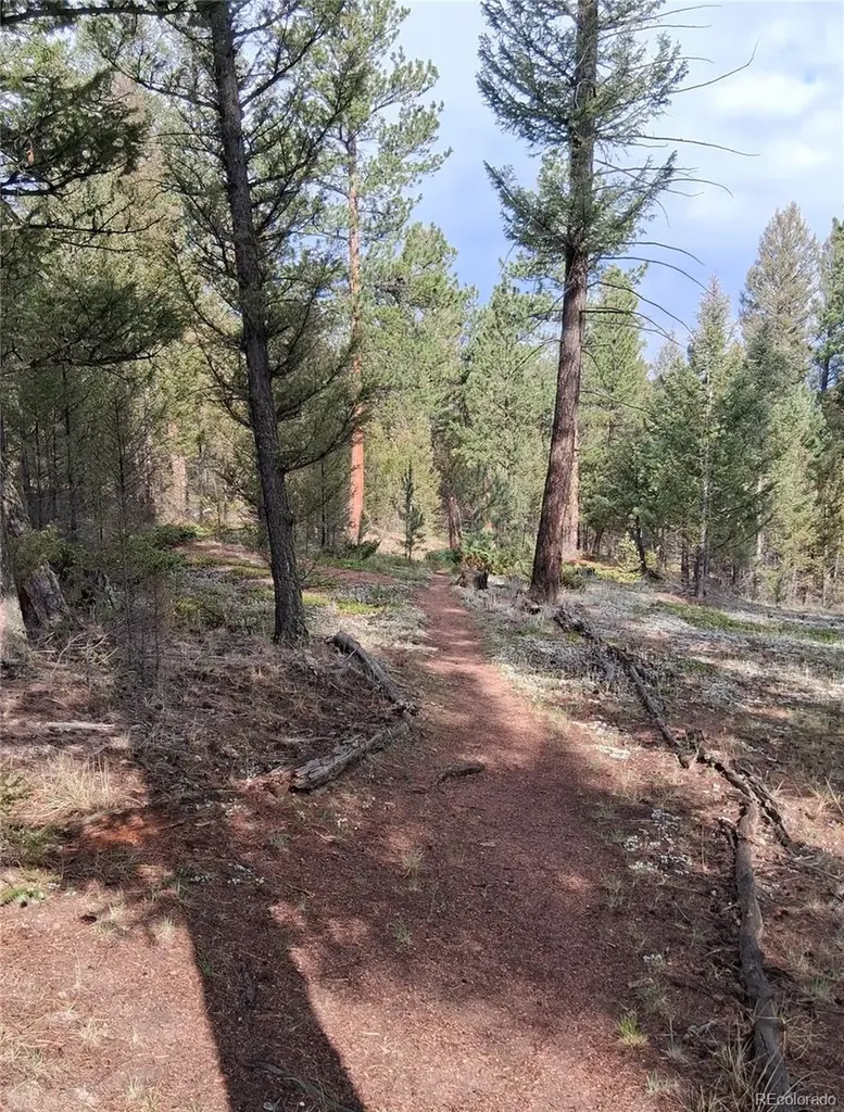 410 Spring Drive Pine CO 80470