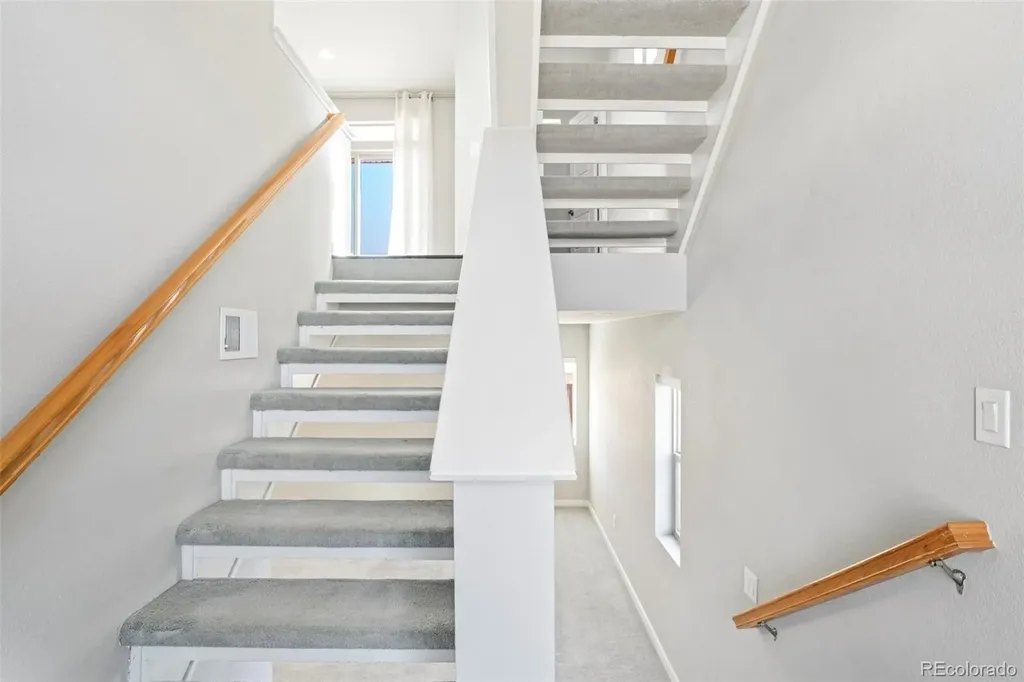 2788 Low Meadow Boulevard Castle Rock CO 80109