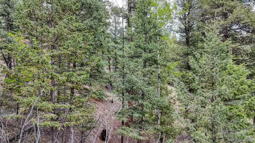 918 Pinon Lane Florissant CO 80816