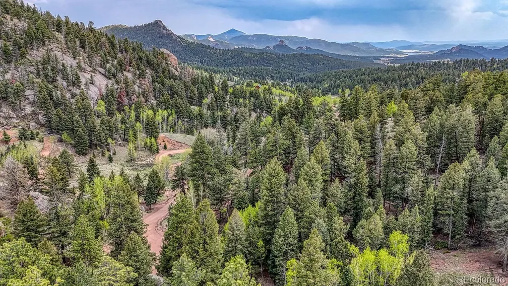 918 Pinon Lane Florissant CO 80816