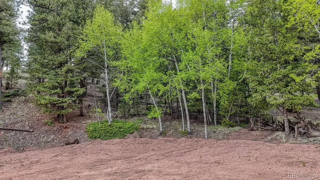 918 Pinon Lane Florissant CO 80816