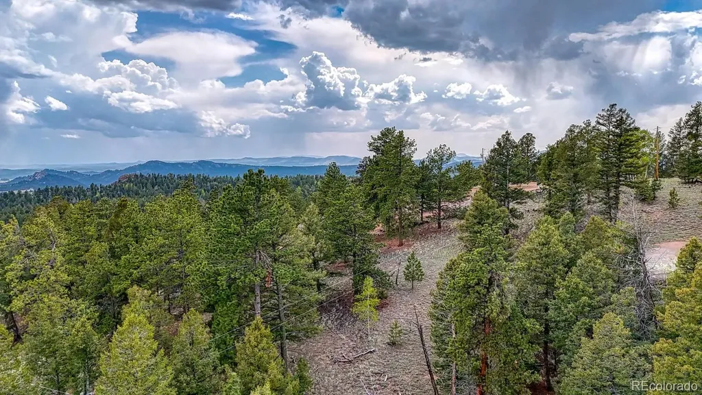 918 Pinon Lane Florissant CO 80816